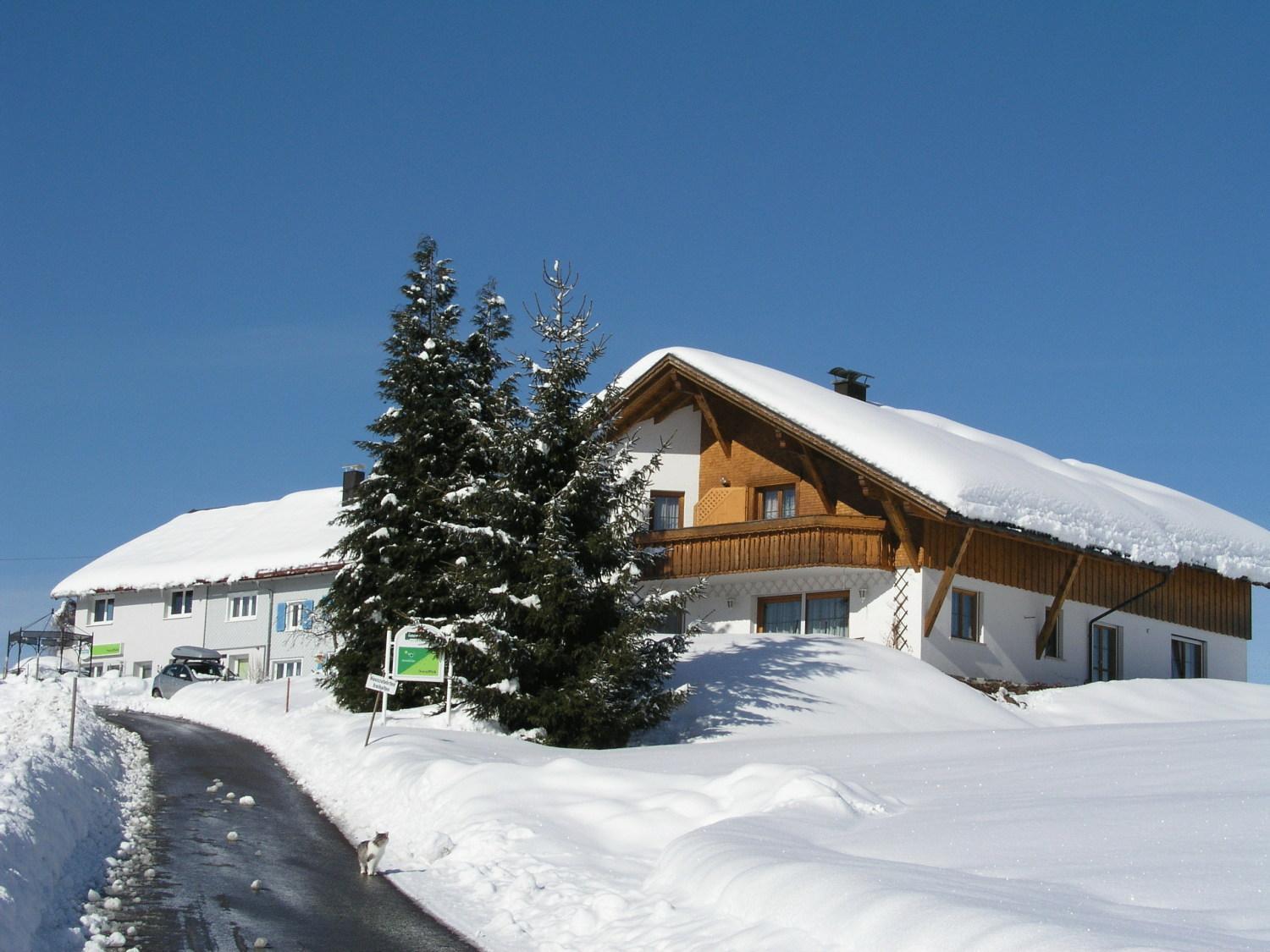 Ferienwohnungen Pension Sonnblick クルムバハ エクステリア 写真